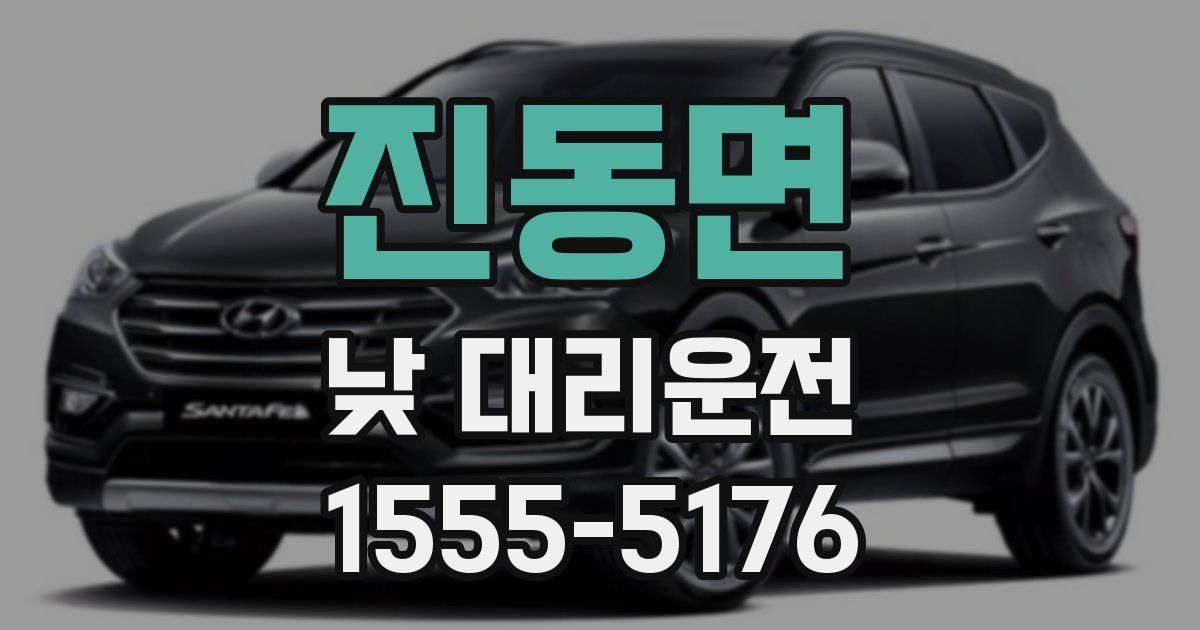 진동면 낮 대리운전