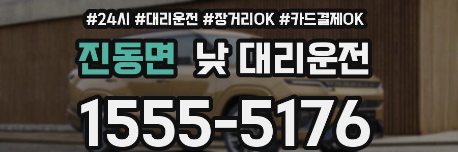 진동면 낮 대리운전