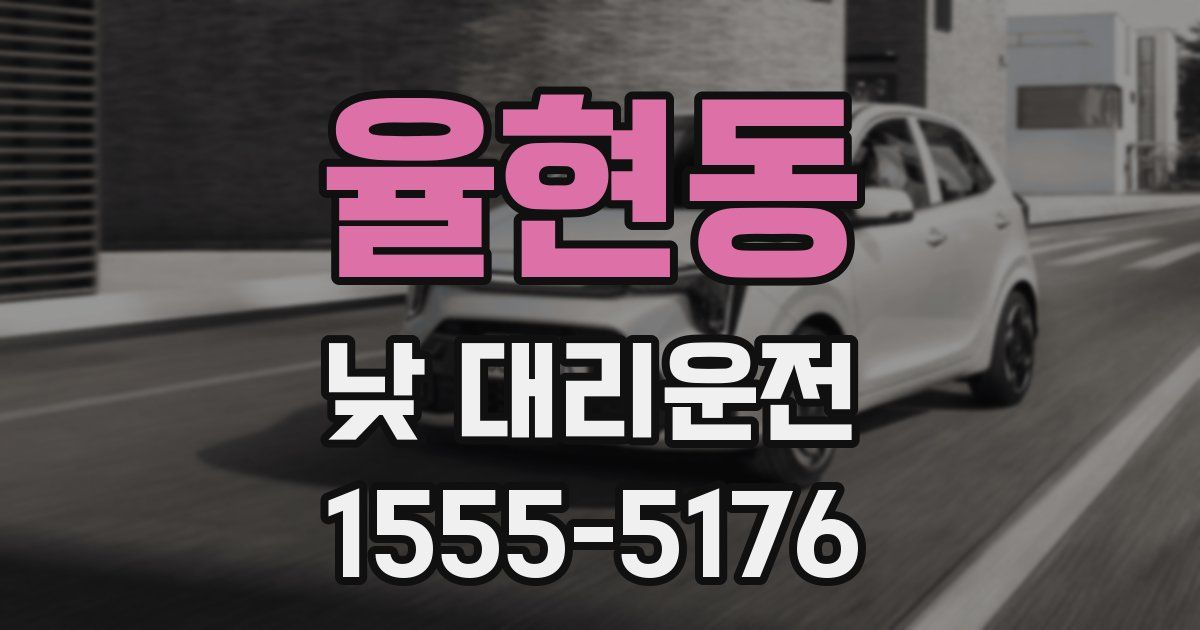 율현동 낮 대리운전