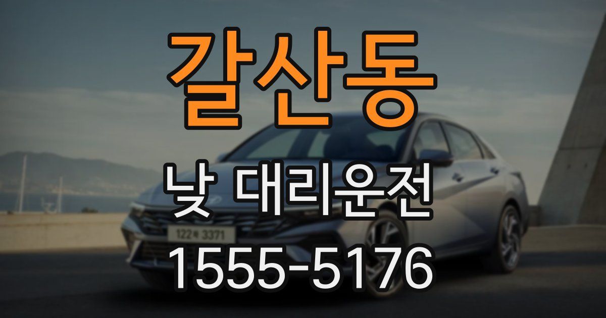 갈산동 낮 대리운전