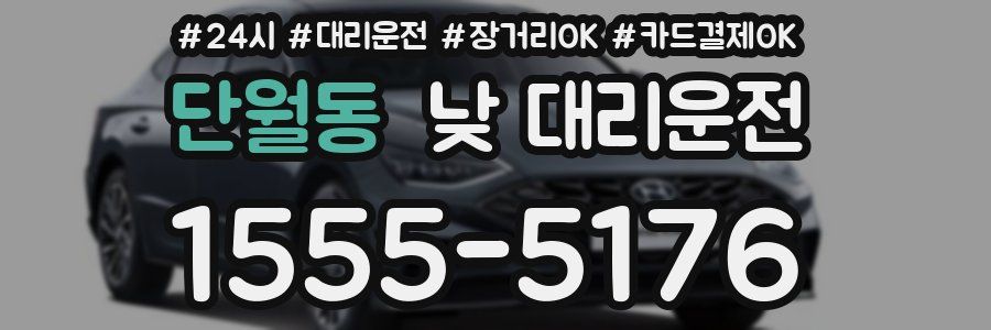 단월동 낮 대리운전