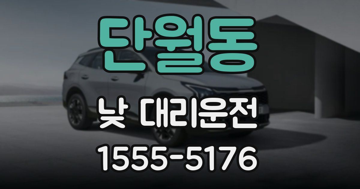 단월동 낮 대리운전