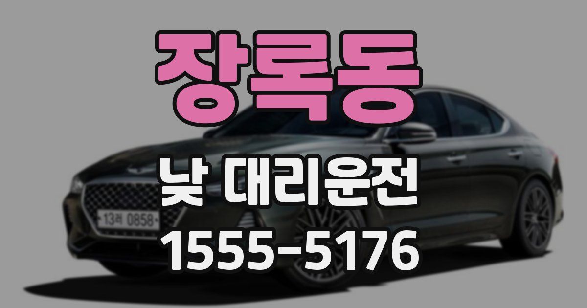 장록동 낮 대리운전