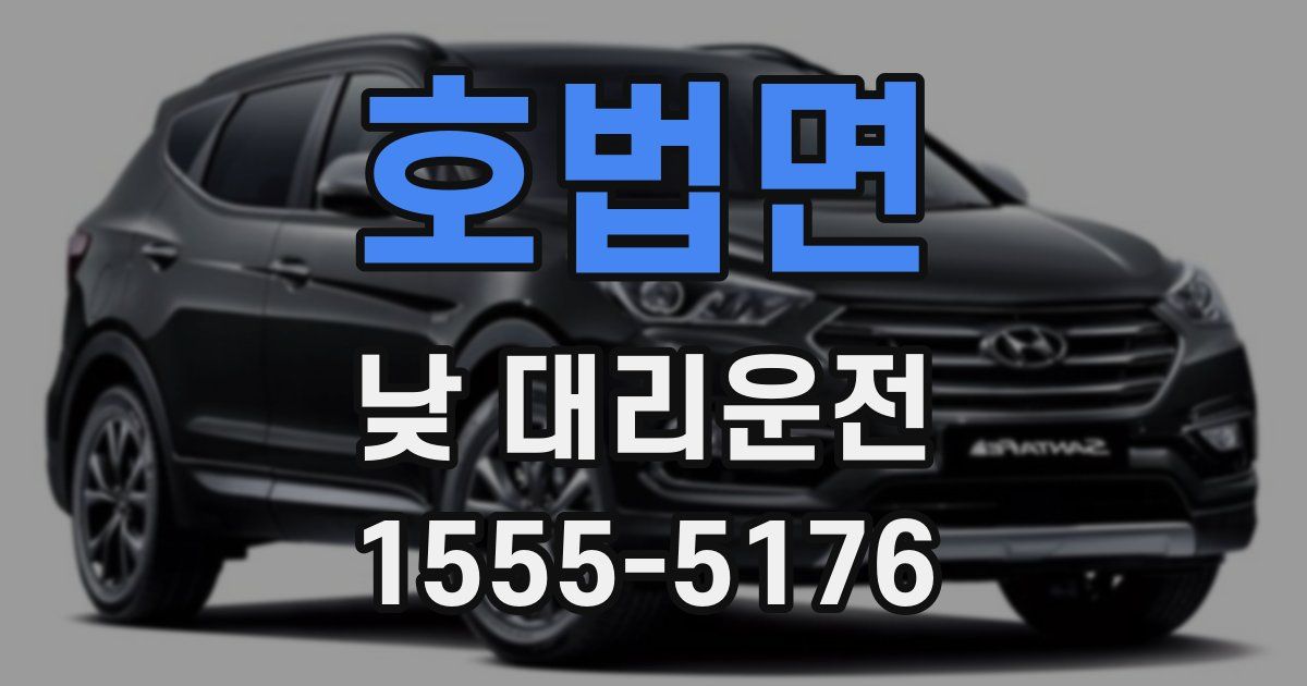 호법면 낮 대리운전