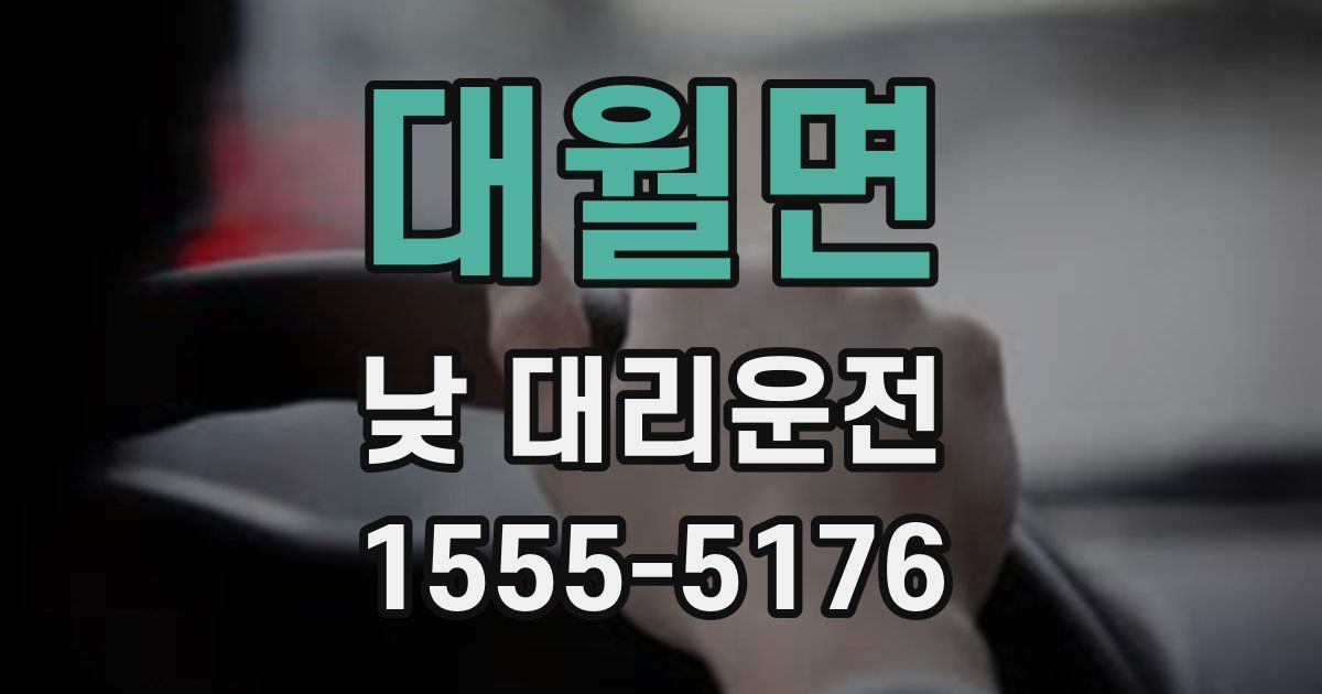 대월면 낮 대리운전