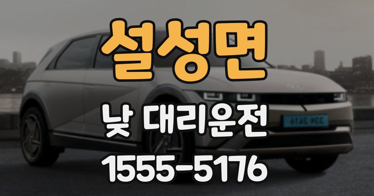 설성면 낮 대리운전