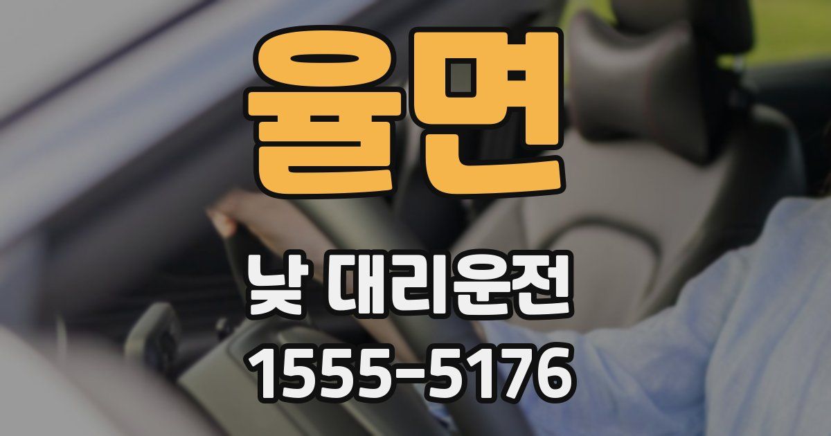 율면 낮 대리운전