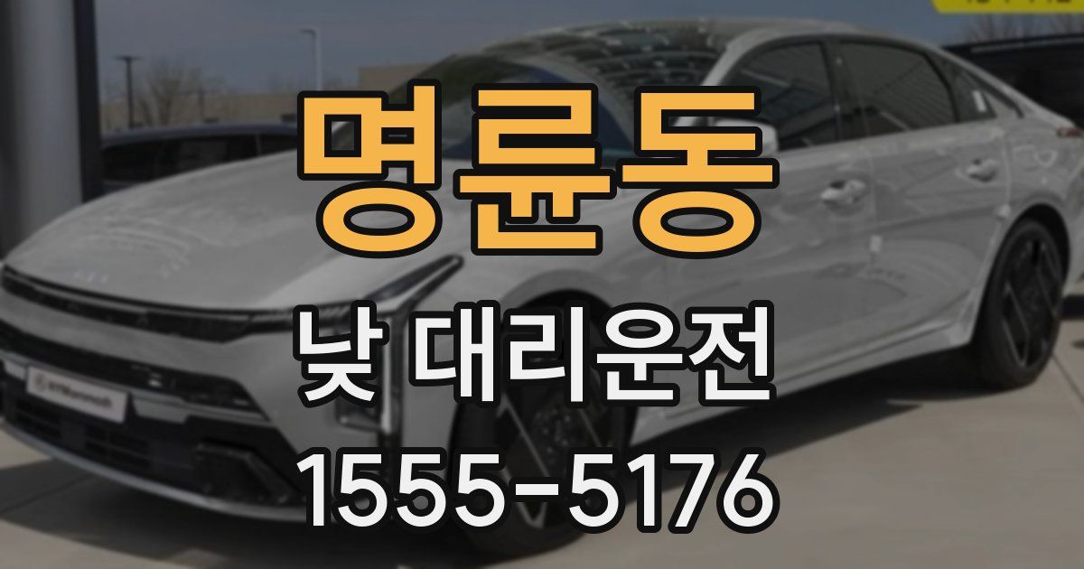 명륜동 낮 대리운전