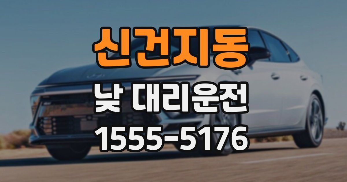 신건지동 낮 대리운전