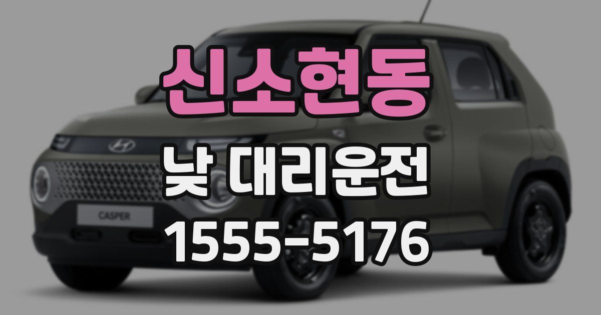 신소현동 낮 대리운전