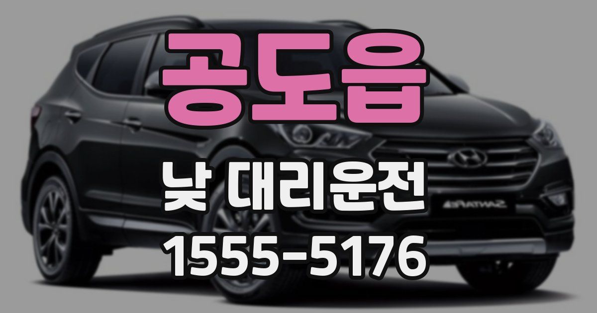 공도읍 낮 대리운전
