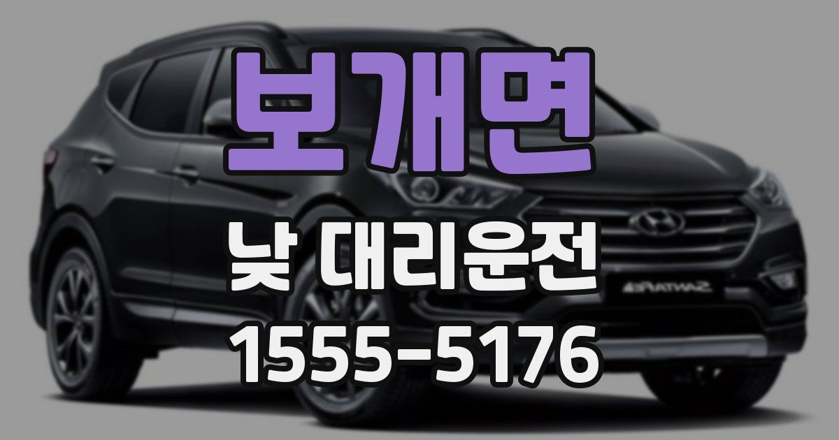 보개면 낮 대리운전