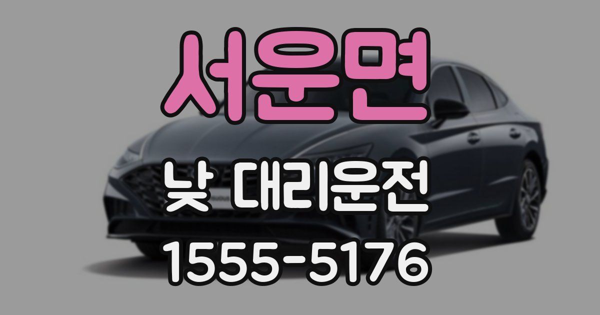 서운면 낮 대리운전