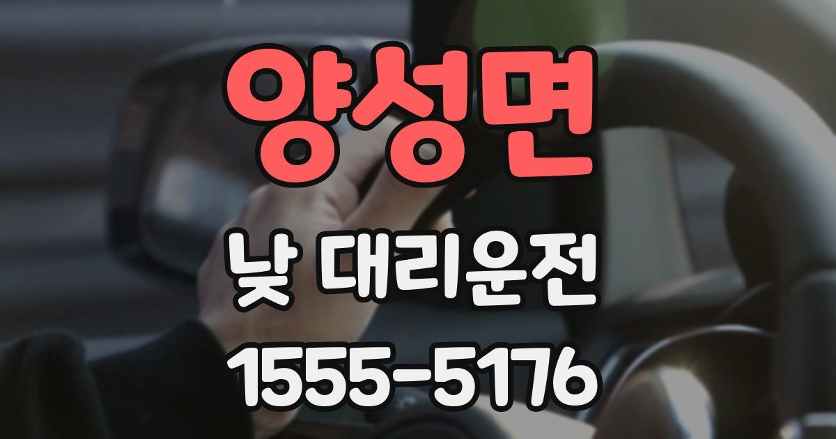 양성면 낮 대리운전