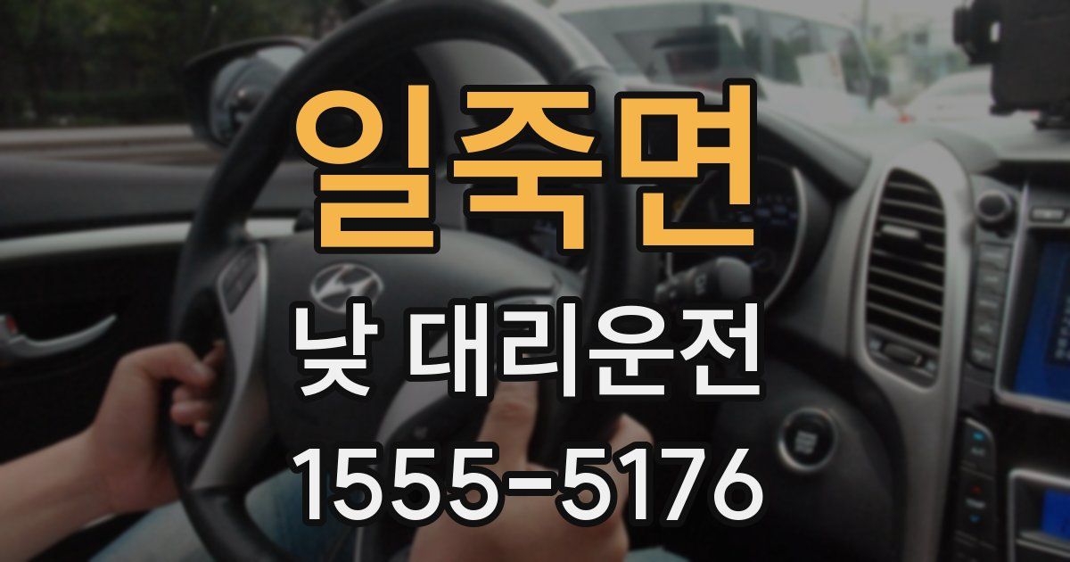 일죽면 낮 대리운전