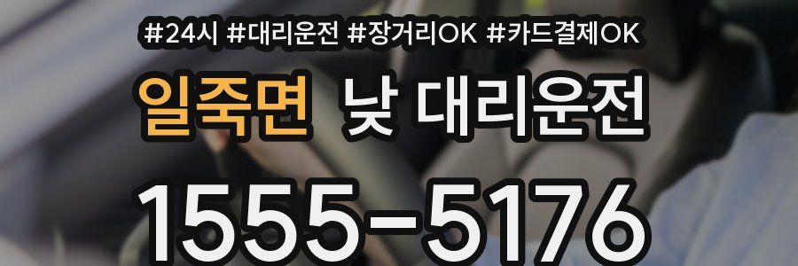 일죽면 낮 대리운전