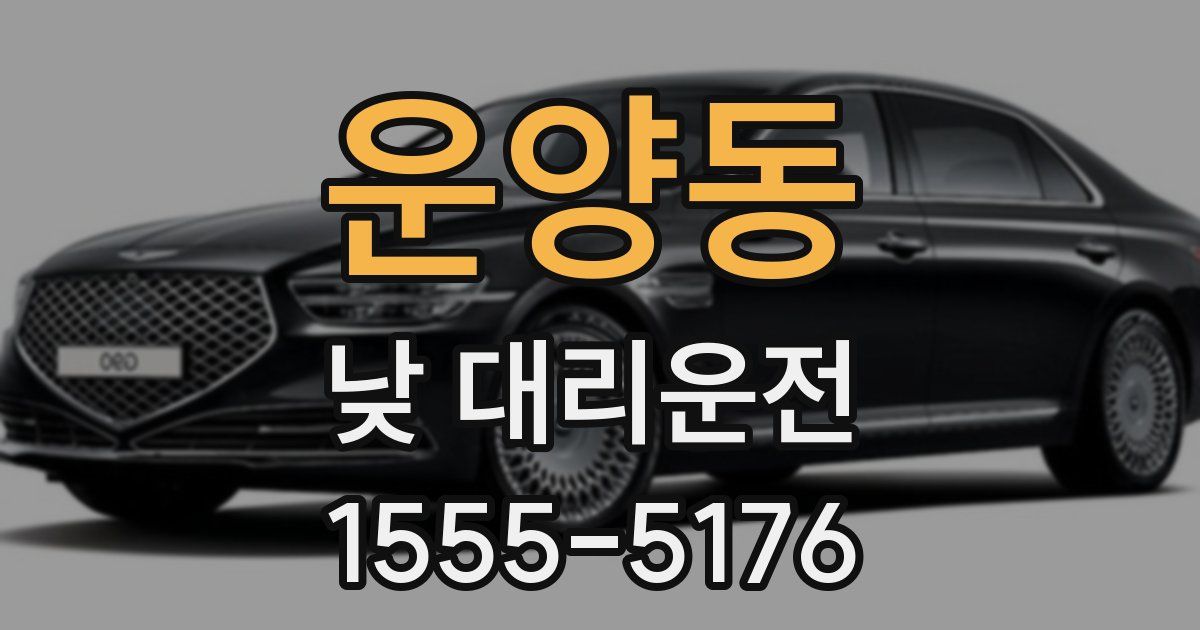 운양동 낮 대리운전