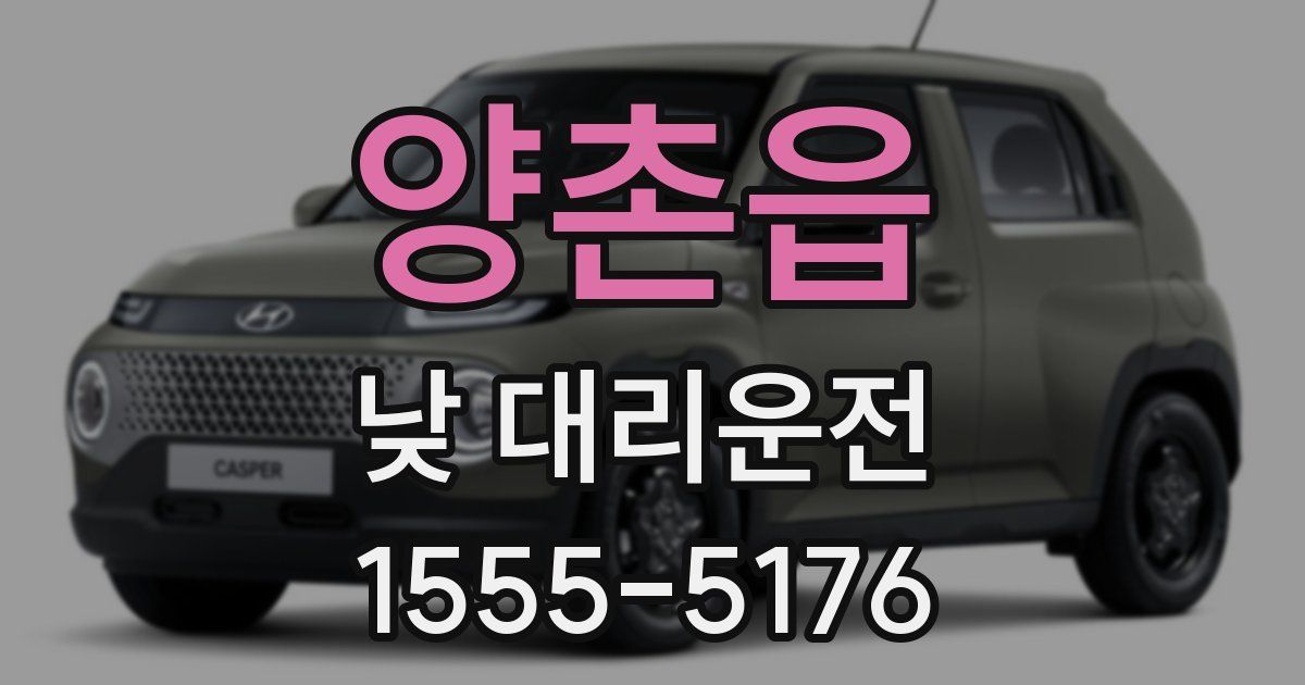 양촌읍 낮 대리운전