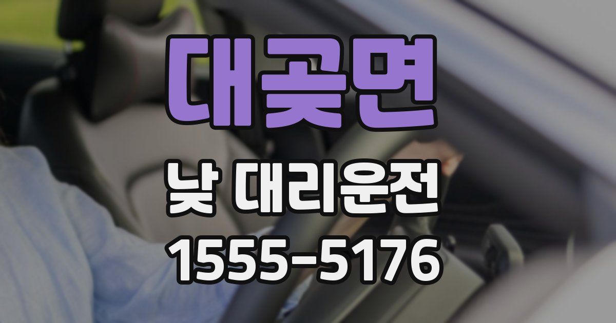 대곶면 낮 대리운전