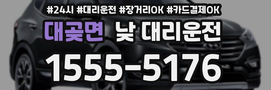 대곶면 낮 대리운전