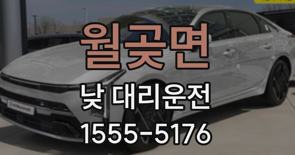 월곶면 낮 대리운전