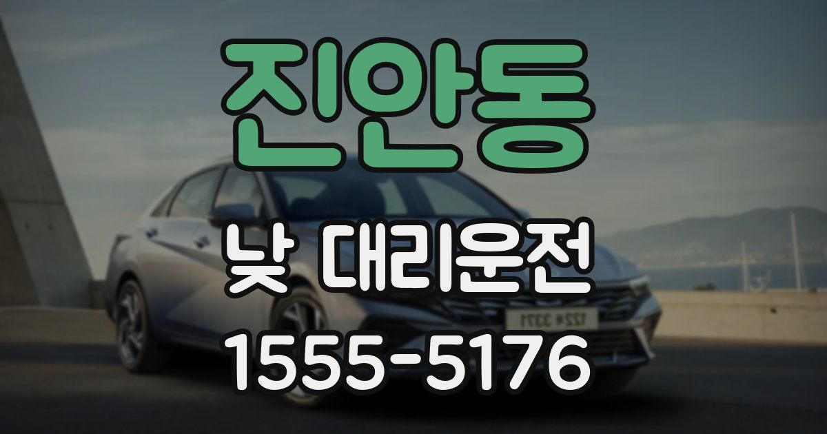 진안동 낮 대리운전