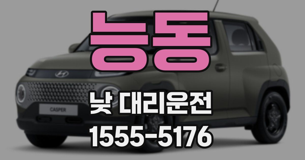 능동 낮 대리운전