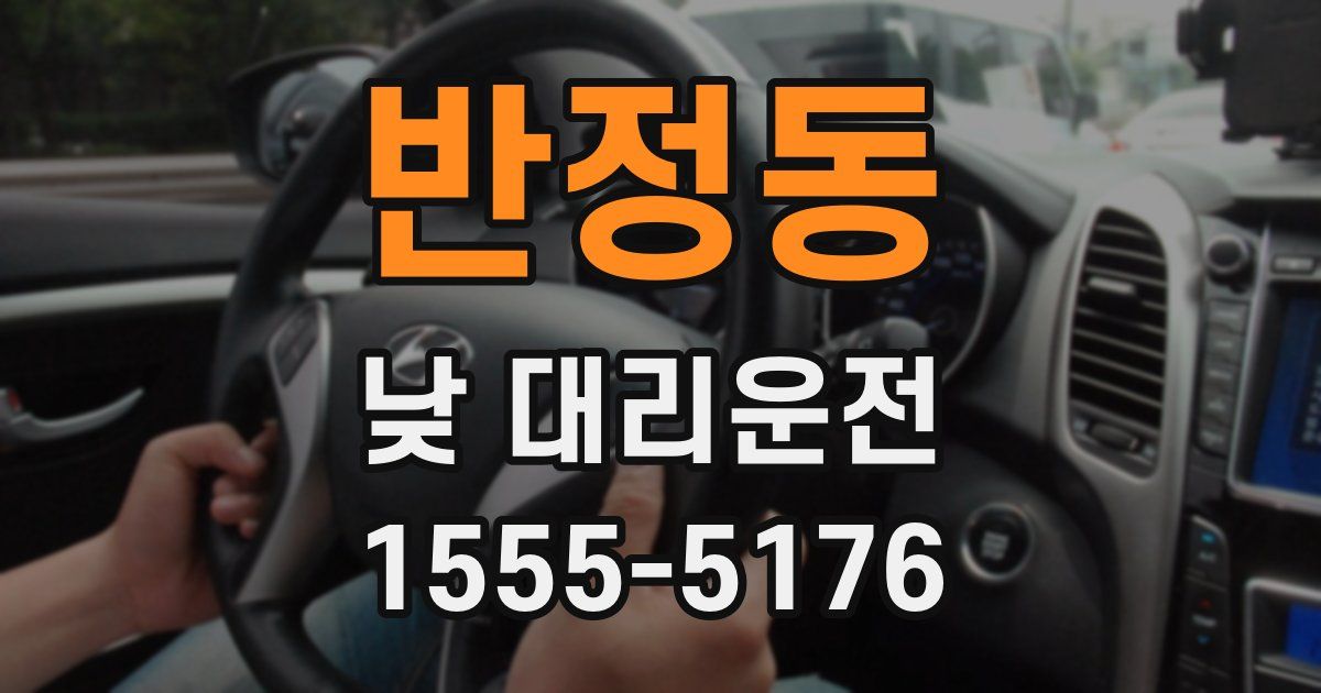 반정동 낮 대리운전