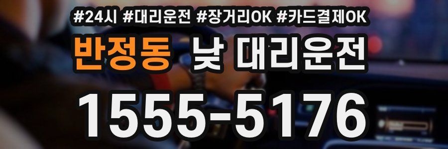 반정동 낮 대리운전