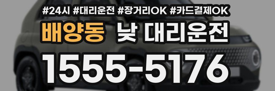 배양동 낮 대리운전