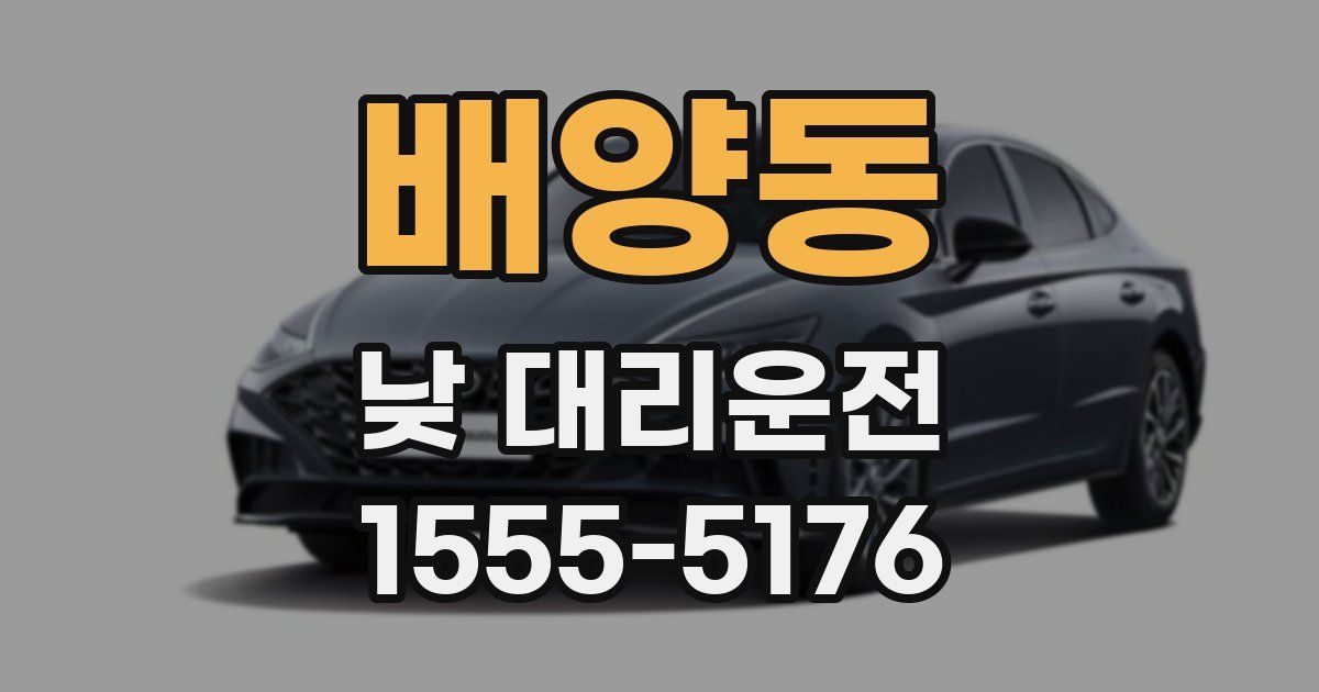 배양동 낮 대리운전