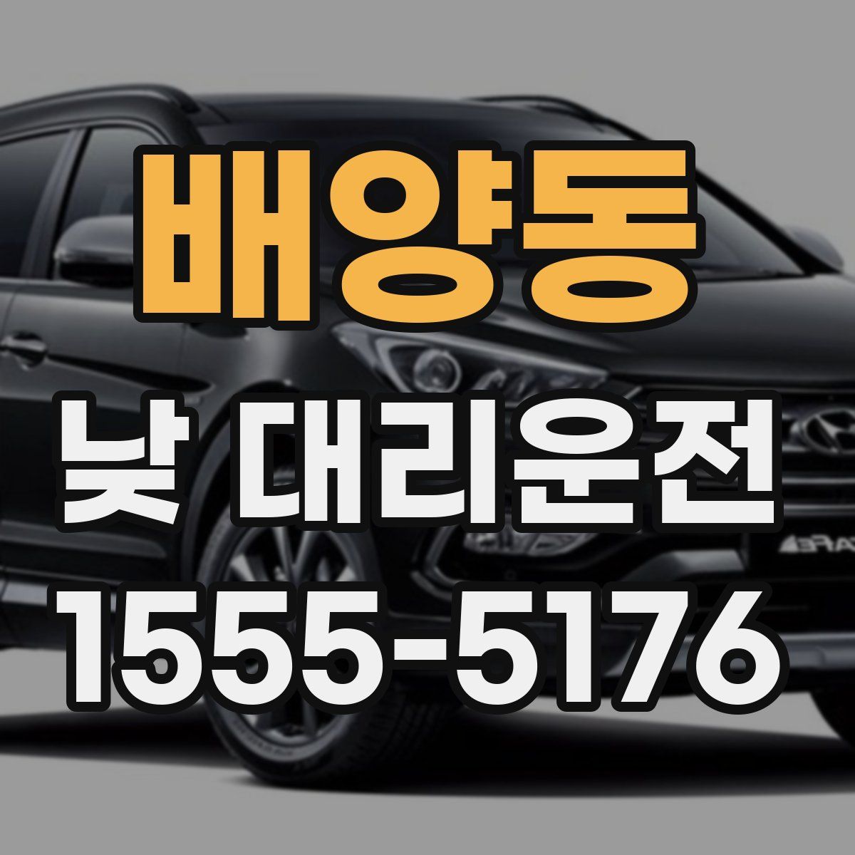 배양동 낮 대리운전