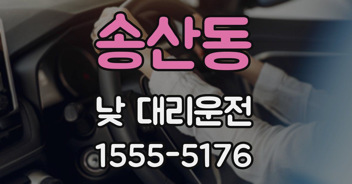 송산동 낮 대리운전