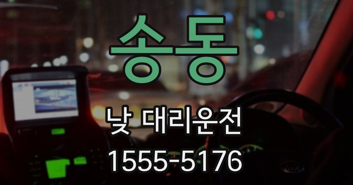 송동 낮 대리운전