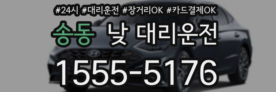 송동 낮 대리운전