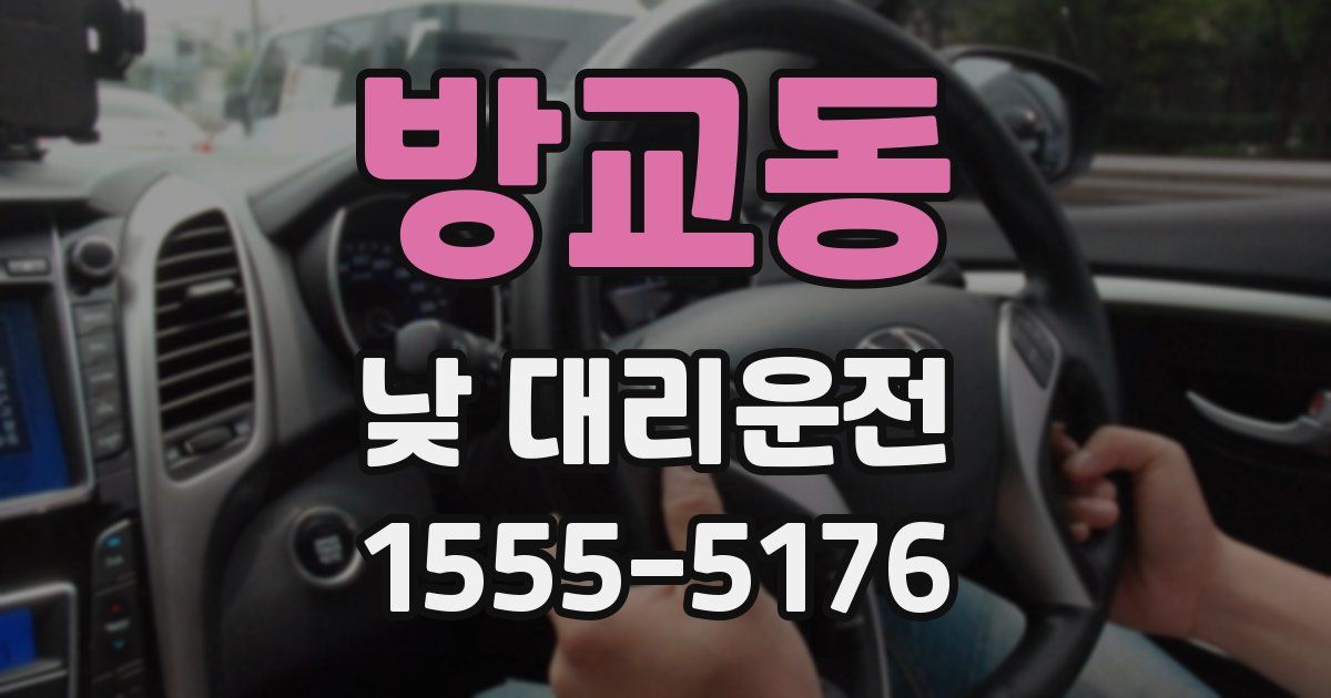 방교동 낮 대리운전