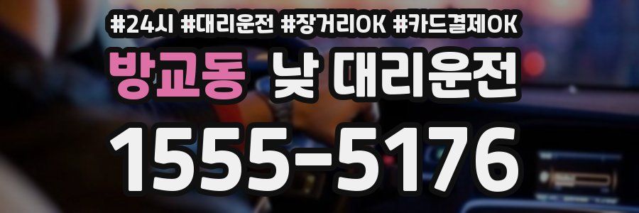 방교동 낮 대리운전