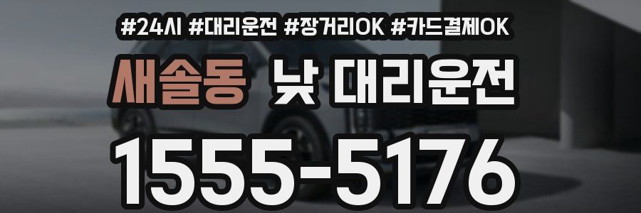 새솔동 낮 대리운전