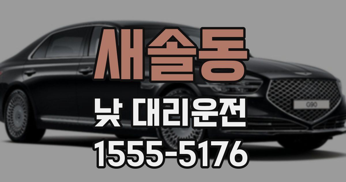 새솔동 낮 대리운전