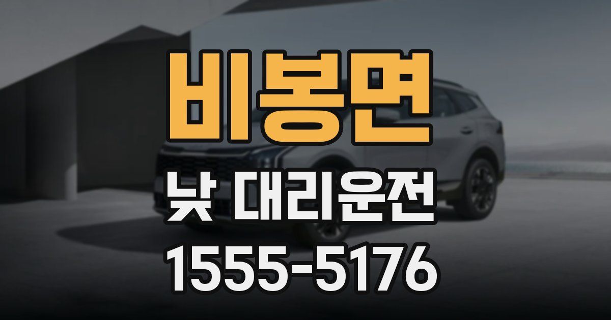 비봉면 낮 대리운전