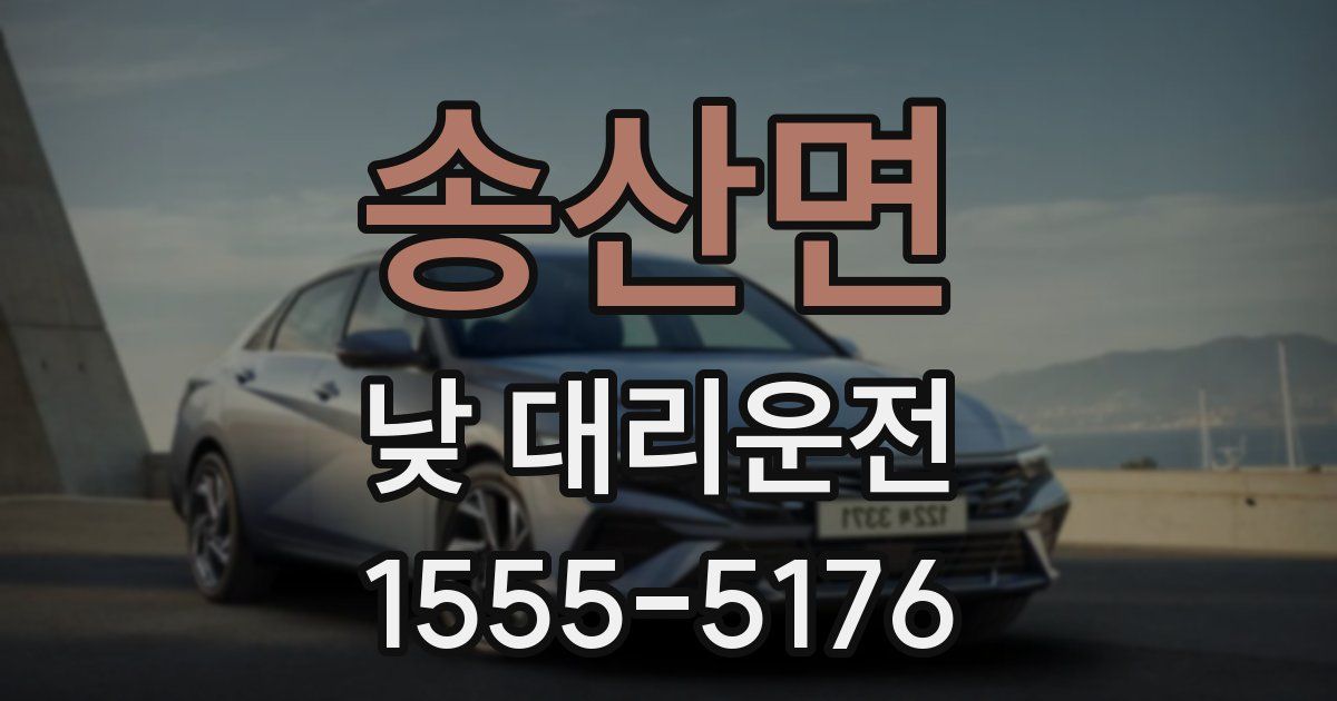 송산면 낮 대리운전
