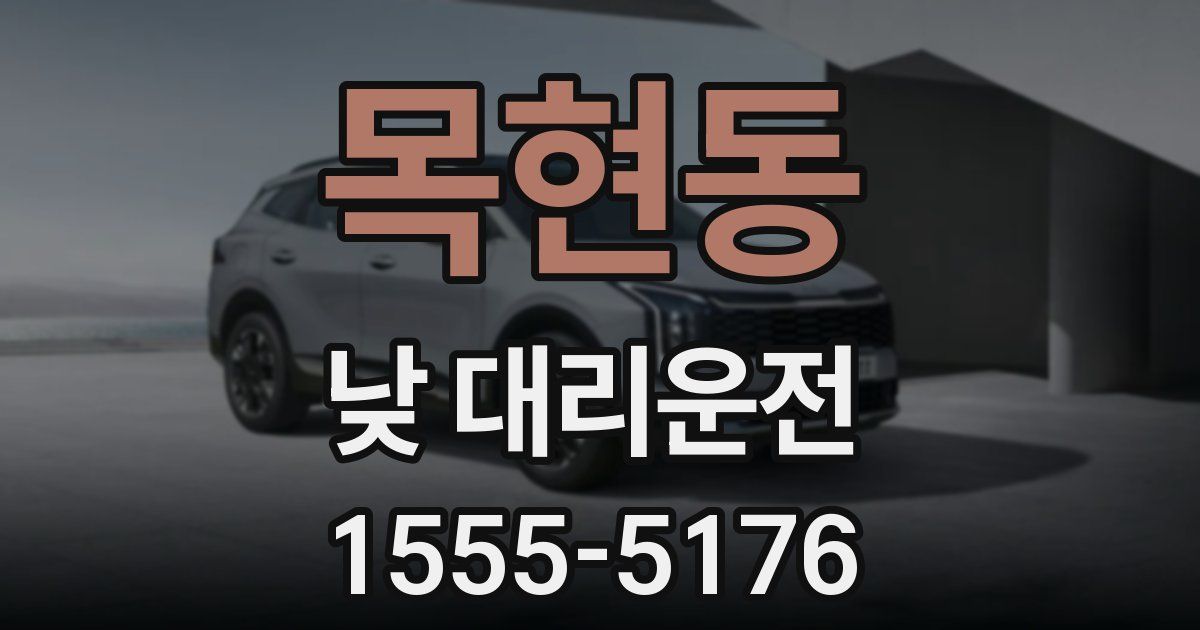 목현동 낮 대리운전