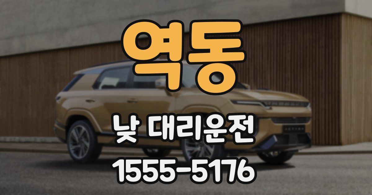 역동 낮 대리운전