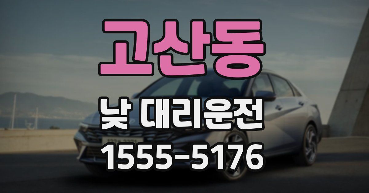 고산동 낮 대리운전