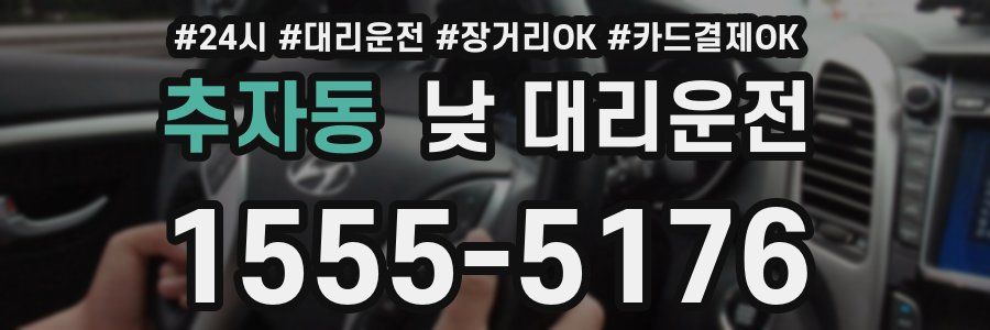 추자동 낮 대리운전