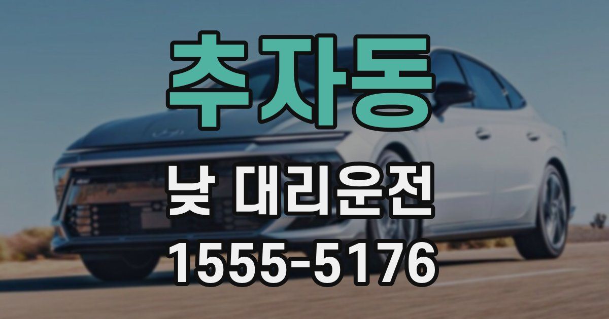 추자동 낮 대리운전
