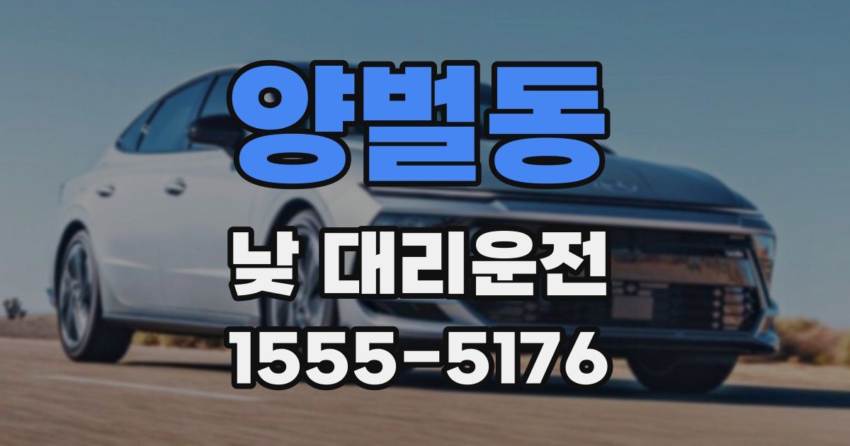 양벌동 낮 대리운전