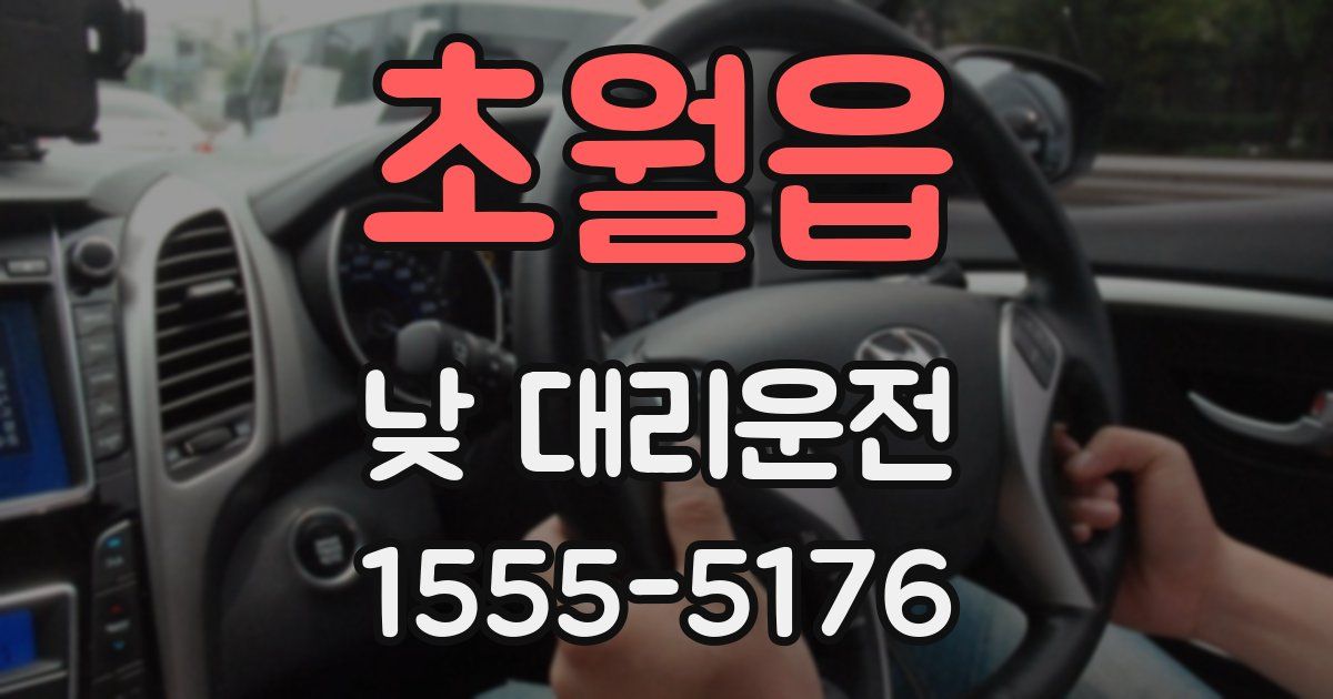 초월읍 낮 대리운전