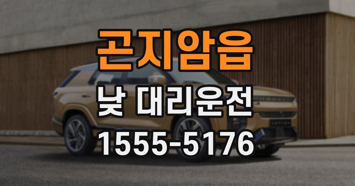 곤지암읍 낮 대리운전