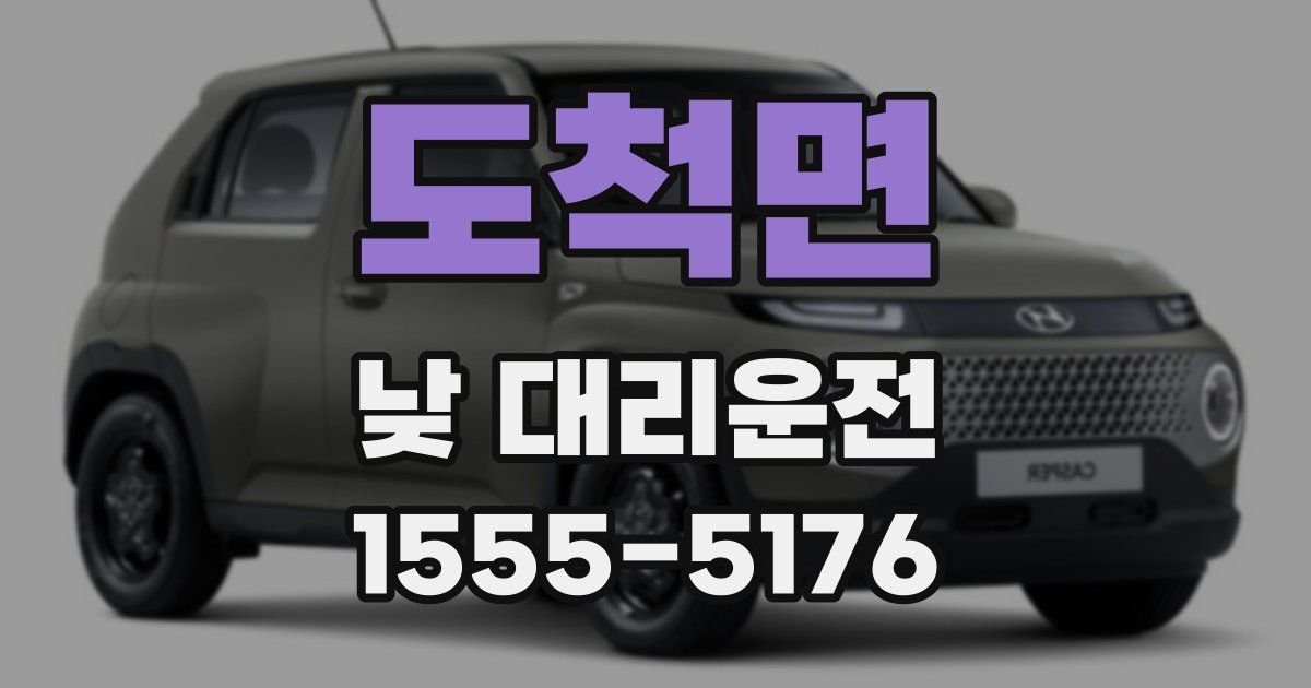 도척면 낮 대리운전